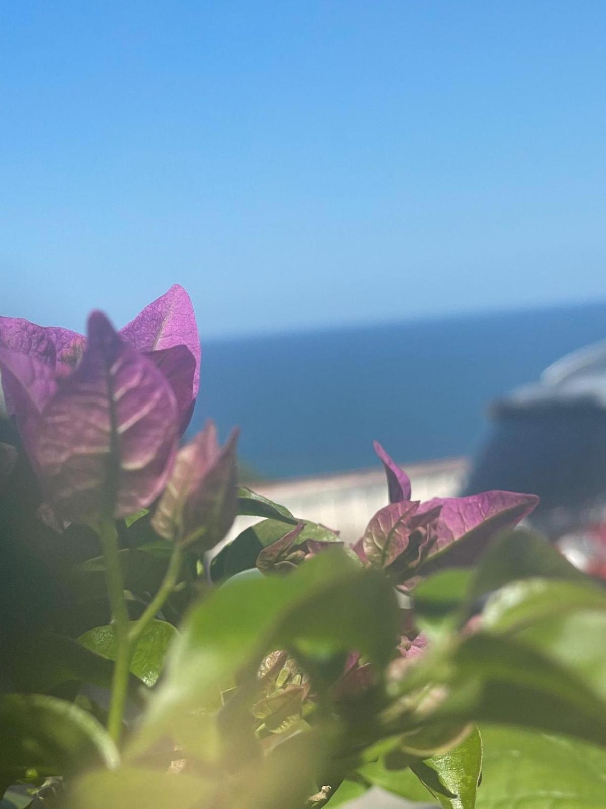Casa Sundaville Peschici Luaran gambar