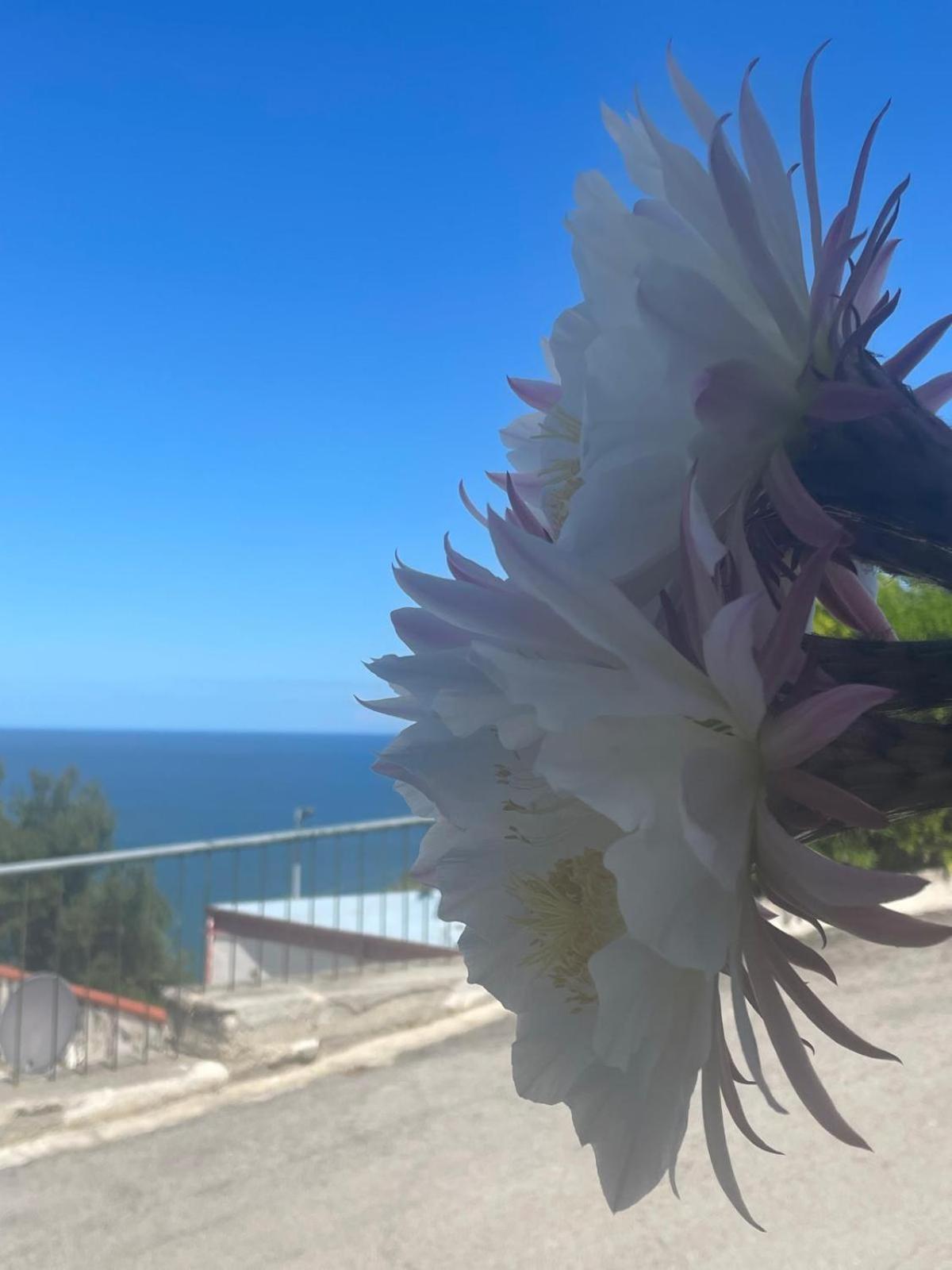Casa Sundaville Peschici Luaran gambar